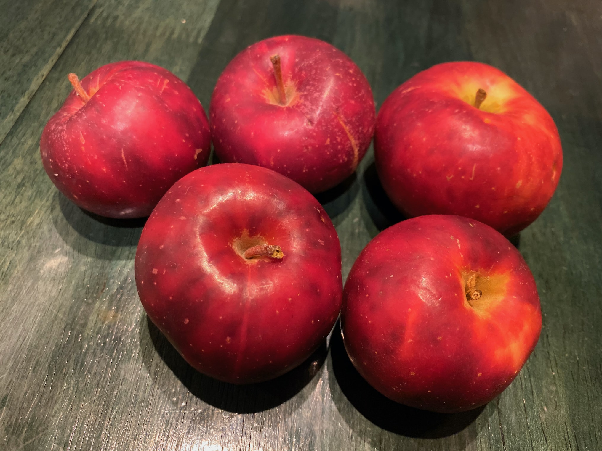 Red Gravenstein Apple Review Selective Elective